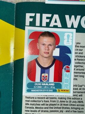 Panini Erling Haaland Sticker
